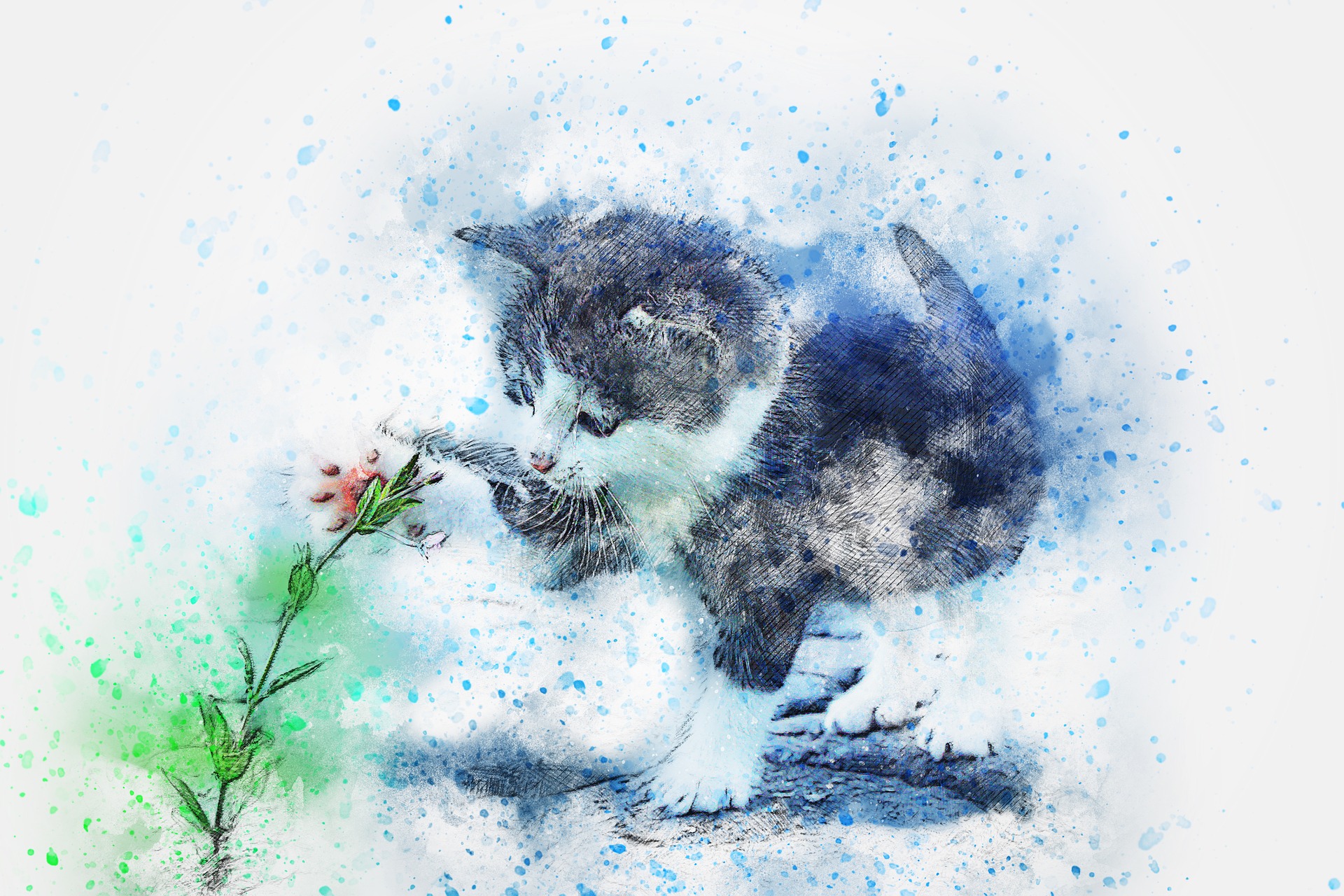 ilustração de um gato com flores